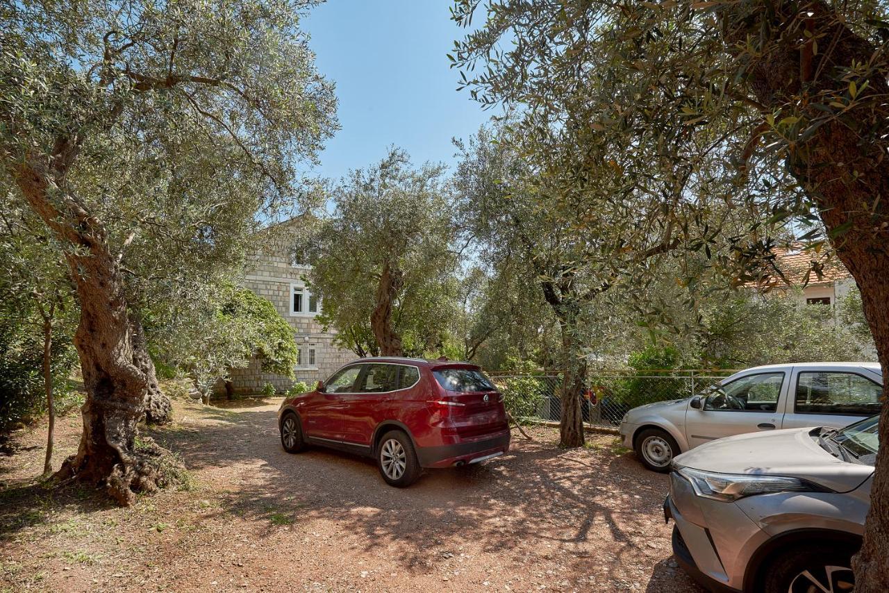 Apartmani Kuca U Maslinama Ilha Ilha Sveti Stefan Exterior foto