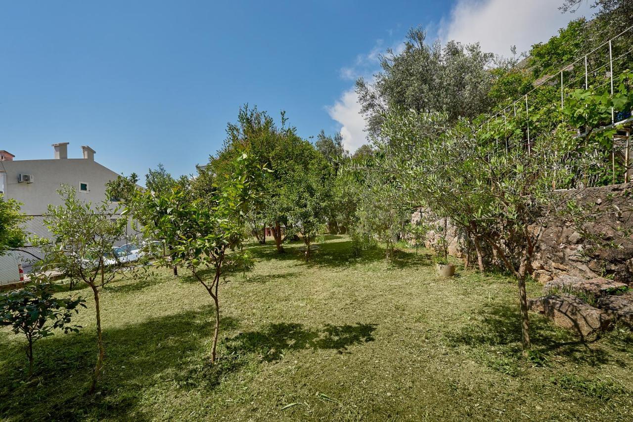 Apartmani Kuca U Maslinama Ilha Ilha Sveti Stefan Exterior foto
